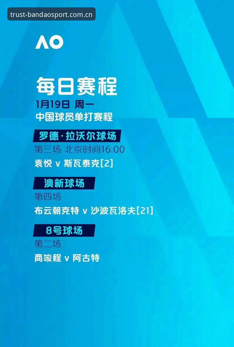 半岛体育官网地址哪个好 半岛体育官网地址vs体育平台选择:哪个更适合您的竞技体验?全面对比与深度分析